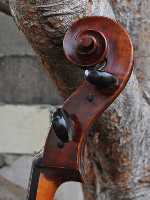 Angel Taylor model 220 4/4 Cello