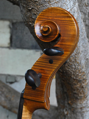 Vivo Guadagnini 1757 Replica 4/4 Cello (25019)