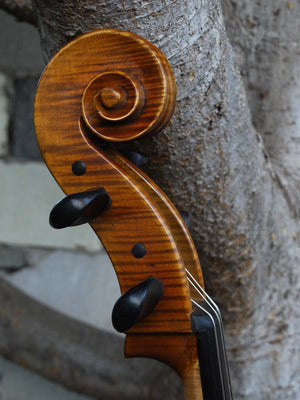 Vivo Guadagnini 1757 Replica 4/4 Cello (25019)