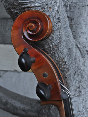 Vivo Strad model 250 3/4 Cello - slightly used