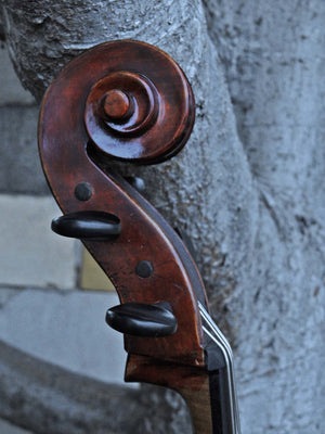 Michael Gerlach 3/4 Cello (183)