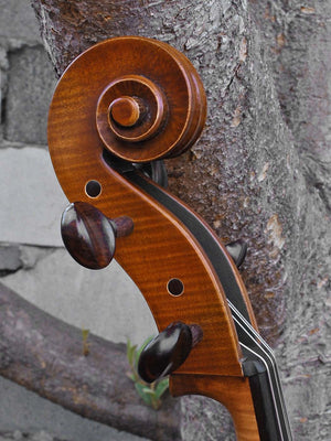 Andrzej Glodek Master 7/8 Cello (A)