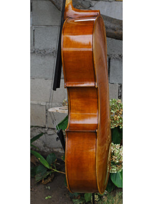 Wu Ling 100 7/8 Cello