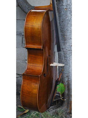 Vivo Gofriller Replica 4/4 Cello