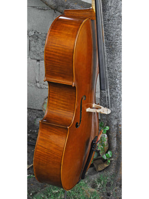 Vivo 'King Amati 1570' 4/4 Cello