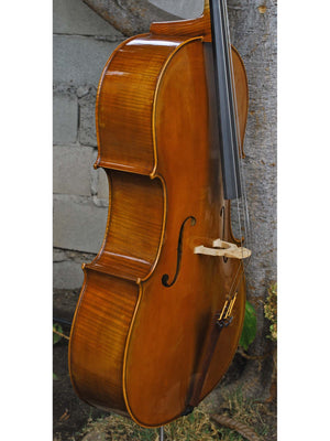 Salvatore Callegari 'Gofriller 1693' 4/4 Cello