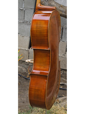Hans Werner 725 'Master' 4/4 Cello