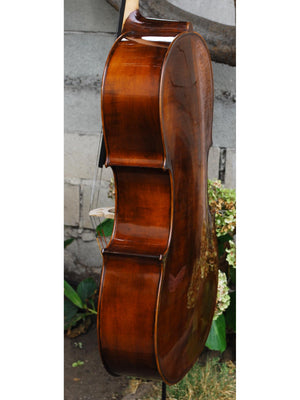 Eastman model 305 'Strad' - 4/4 Cello (B)