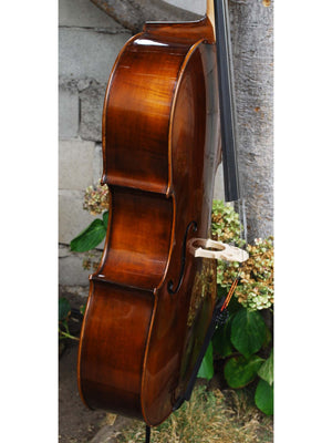 Eastman model 305 'Strad' - 4/4 Cello (B)