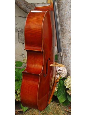 Zhen Jie Zhao Master 'Sleeping Beauty Montagnana' 4/4 Cello