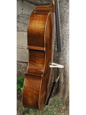 Vivo Strad model 100 3/4 Cello