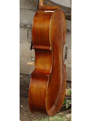 Vivo 200 '1710 Strad' 4/4 Cello