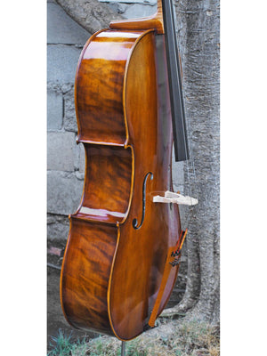 Tomasz Kowalski Workshop Poplar 4/4 Cello