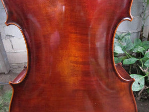 Eastman Advanced Series model 415 'Stradivarius' 1/2 Cello - Used