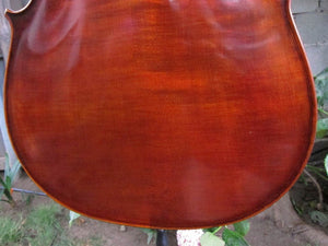 Eastman Advanced Series model 415 'Stradivarius' 1/2 Cello - Used