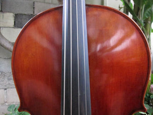 Eastman Advanced Series model 415 'Stradivarius' 1/2 Cello - Used
