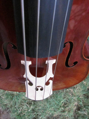 Eastman Advanced Series model 415 'Stradivarius' 1/2 Cello - Used