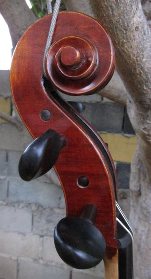 Eastman Advanced Series model 415 'Stradivarius' 1/2 Cello - Used