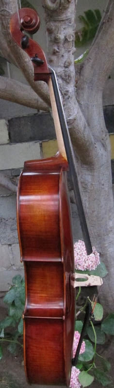 Eastman Advanced Series model 415 'Stradivarius' 1/2 Cello - Used