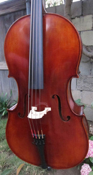 Eastman Advanced Series model 415 'Stradivarius' 1/2 Cello - Used