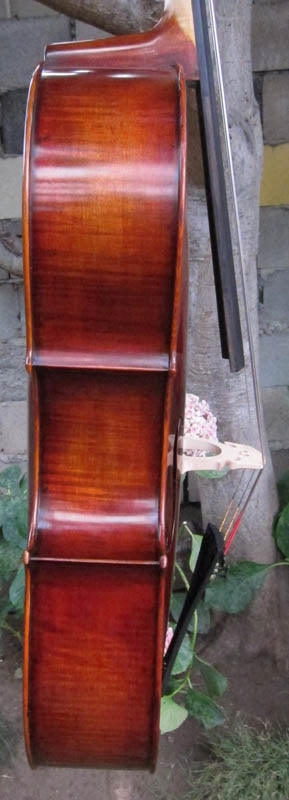 Eastman Advanced Series model 415 'Stradivarius' 1/2 Cello - Used