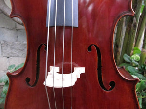 Eastman Advanced Series model 415 'Stradivarius' 1/2 Cello - Used