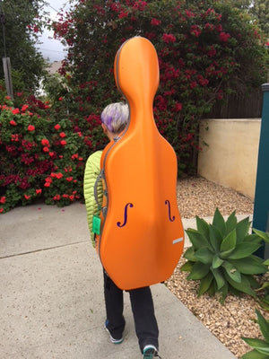 BAM Ergonomic Backpack System