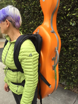BAM Ergonomic Backpack System