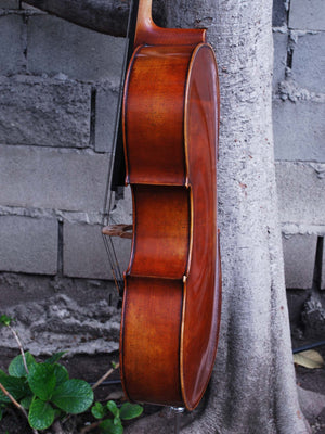 Rudolph Doetsch 701 1/4 Cello - used