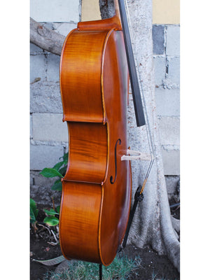 Calin Wultur Model #5 Piatti Strad 4/4 Cello