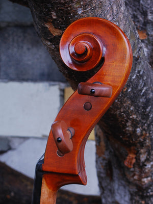 Pietro Lombardi 'Stradivari' 4/4 Cello