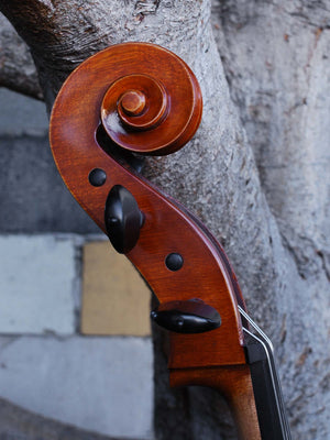 Calin Wultur Model #5 Piatti Strad 4/4 Cello