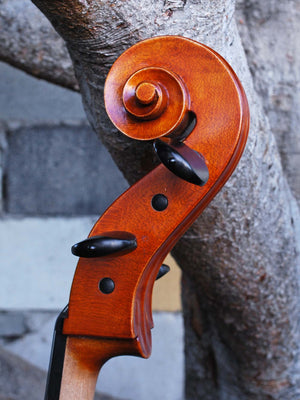 Calin Wultur Model #5 Piatti Strad 4/4 Cello