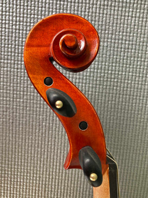 Regh 500 15 1/2" Viola