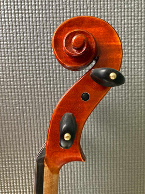 Regh 500 15 1/2" Viola