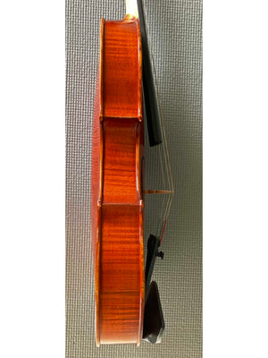 Regh 500 15 1/2" Viola