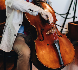 What to Expect as an Adult Beginner Cellist