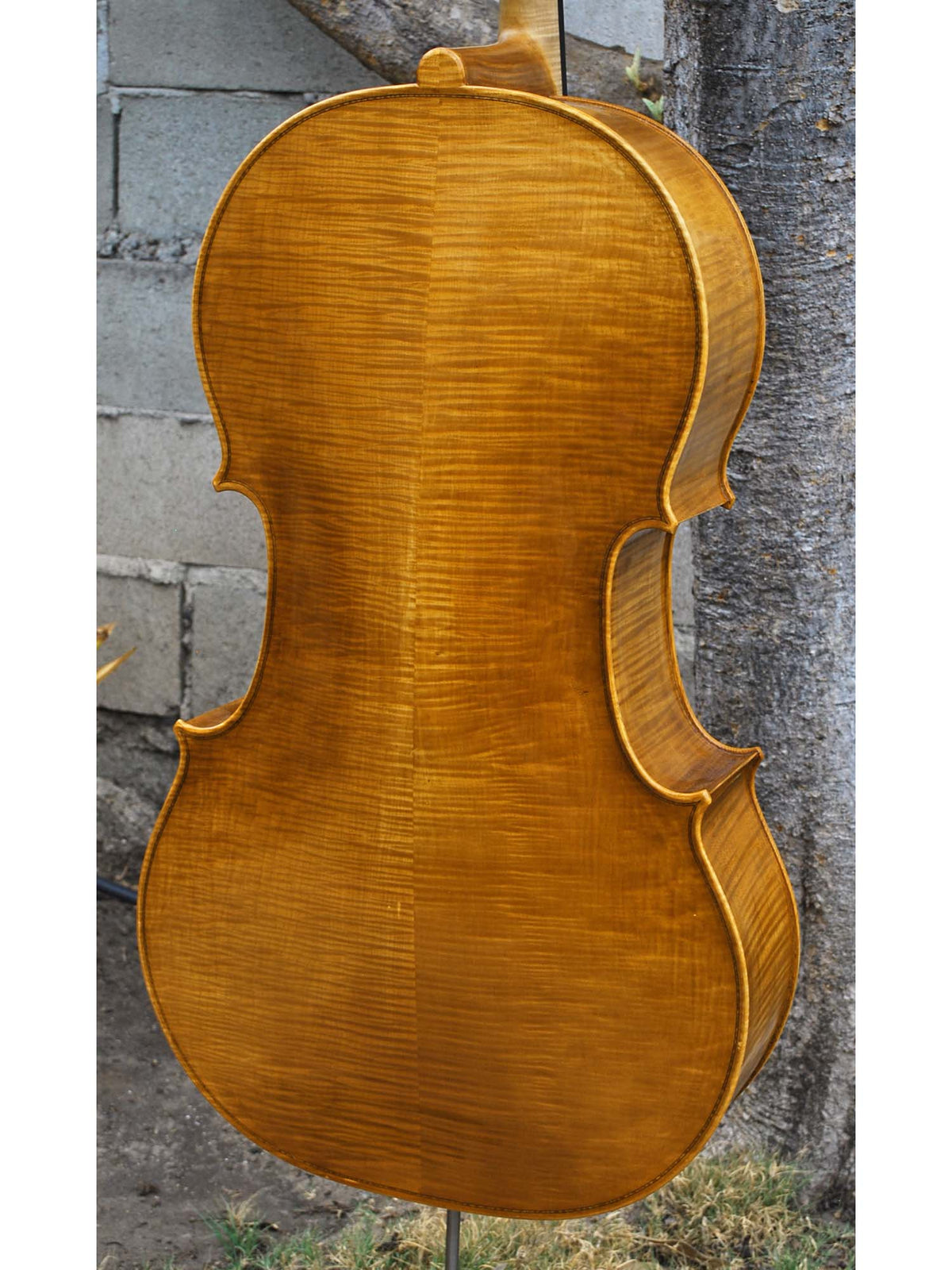 Tadeusz Slipek Master 'Jacobs' Golden 4/4 Cello