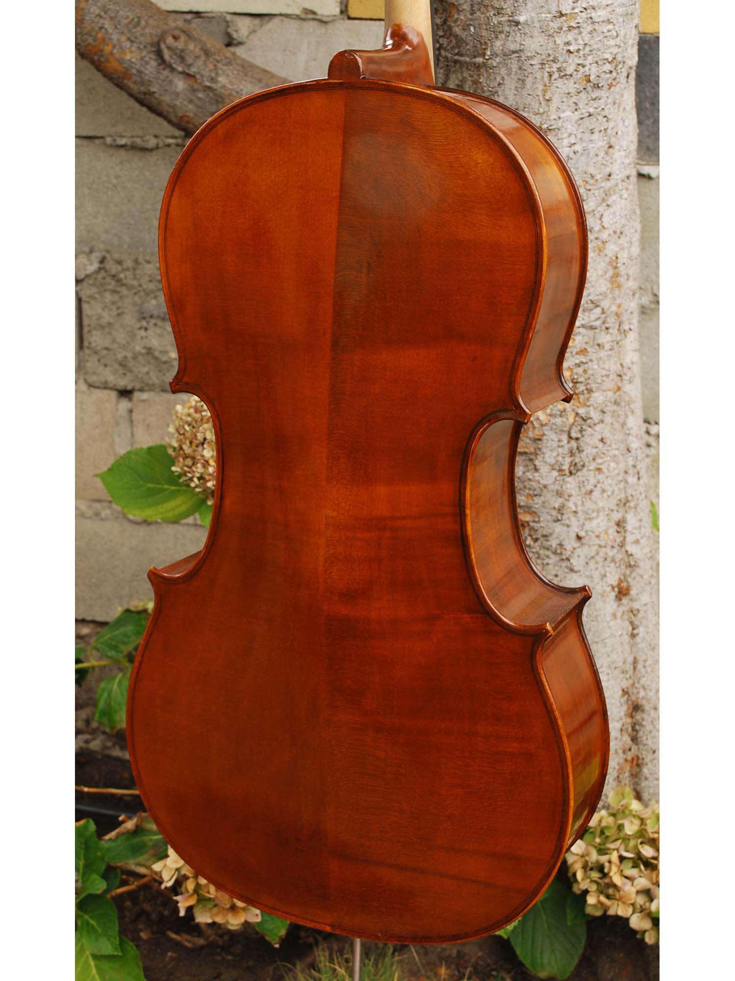 Eastman model 315 3/4 Cello