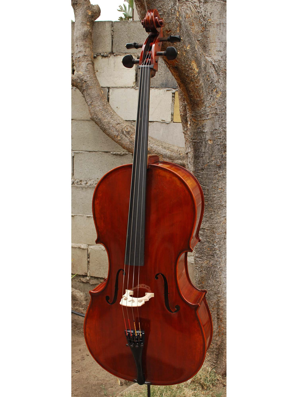 Jean-Pierre Lupot 'Strad' model 501 - 7/8 Cello