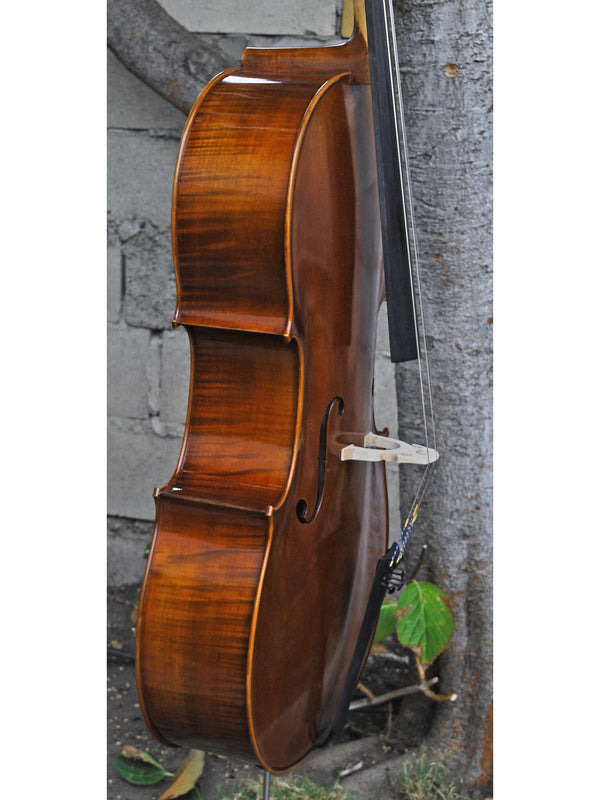 Vivo Zetoni model 300 Cello | Linda West Cellos