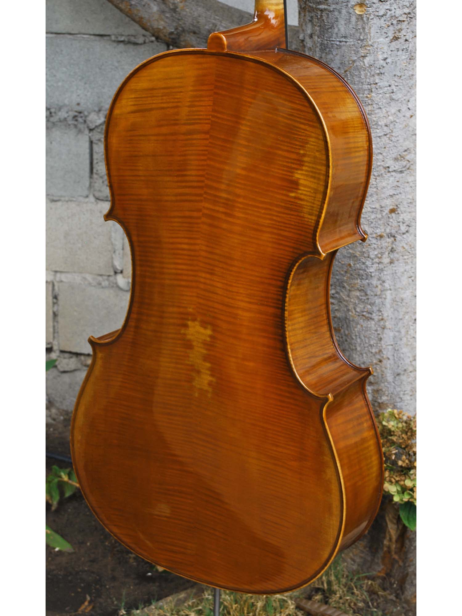 Salvatore Callegari 'Gofriller 1693' 4/4 Cello