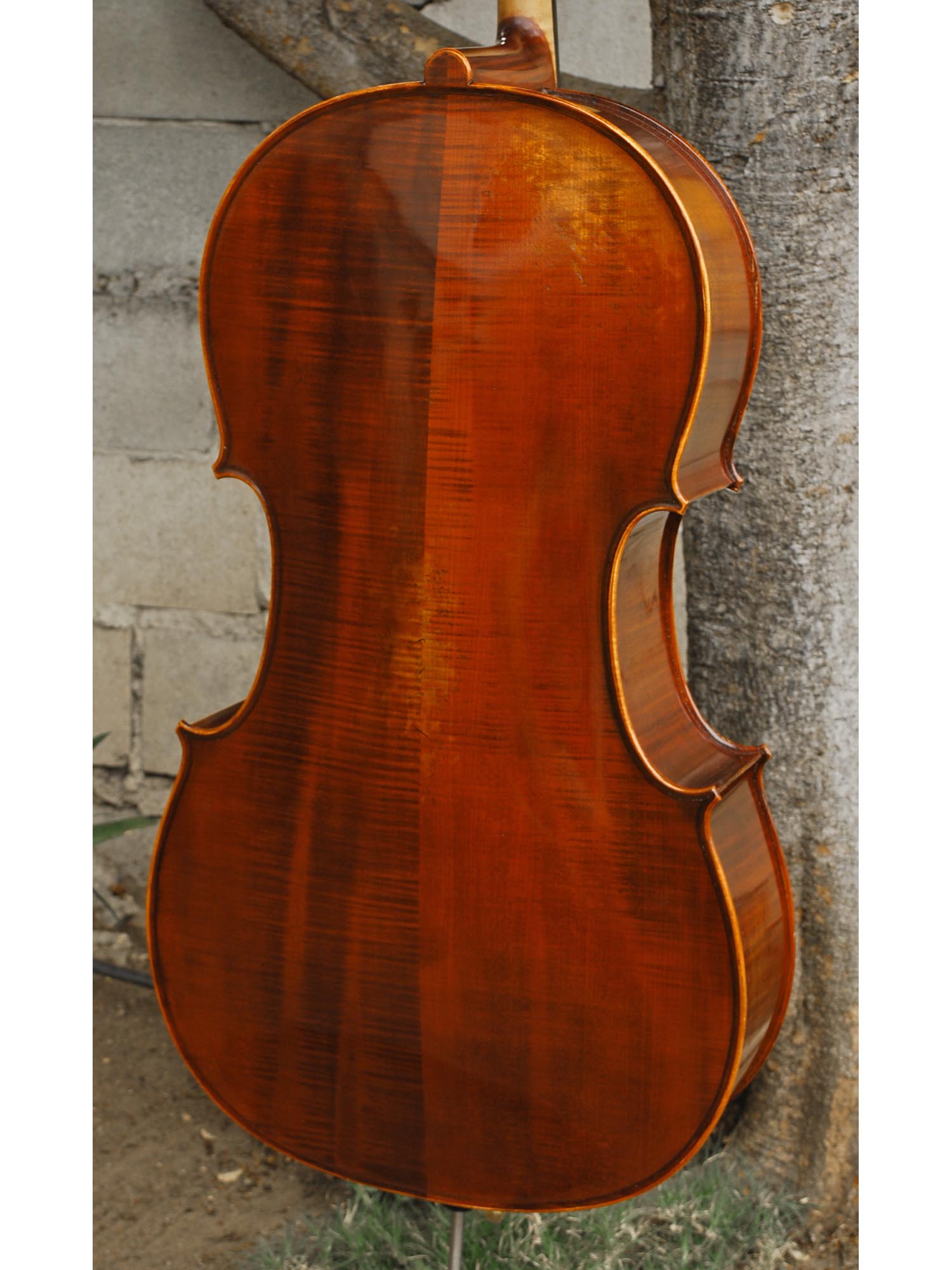 Ivan Dunov 'Luigi' model 401 'Strad'  - 4/4 Cello