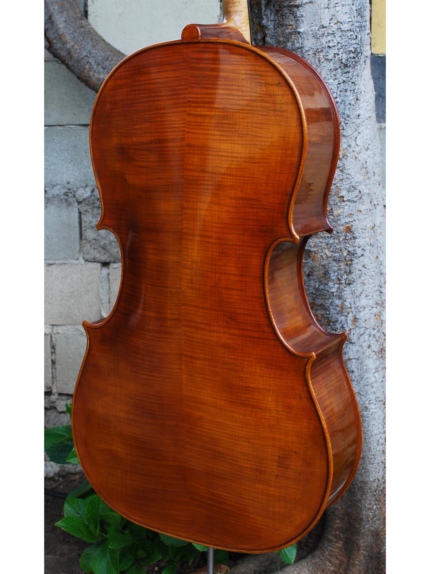 Andrzej Glodek Master 7/8 Cello