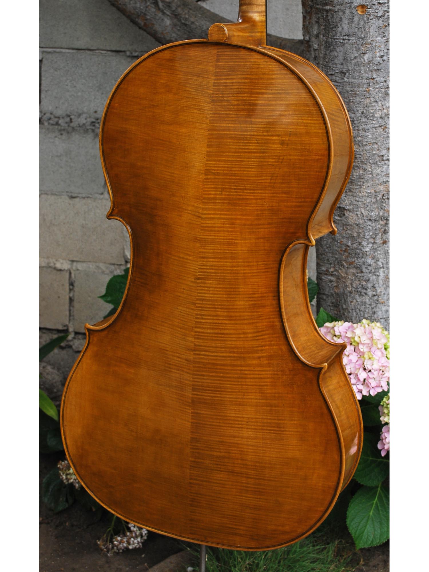 Jan Szlachtowski Master Level 'Gofriller' 4/4 Cello