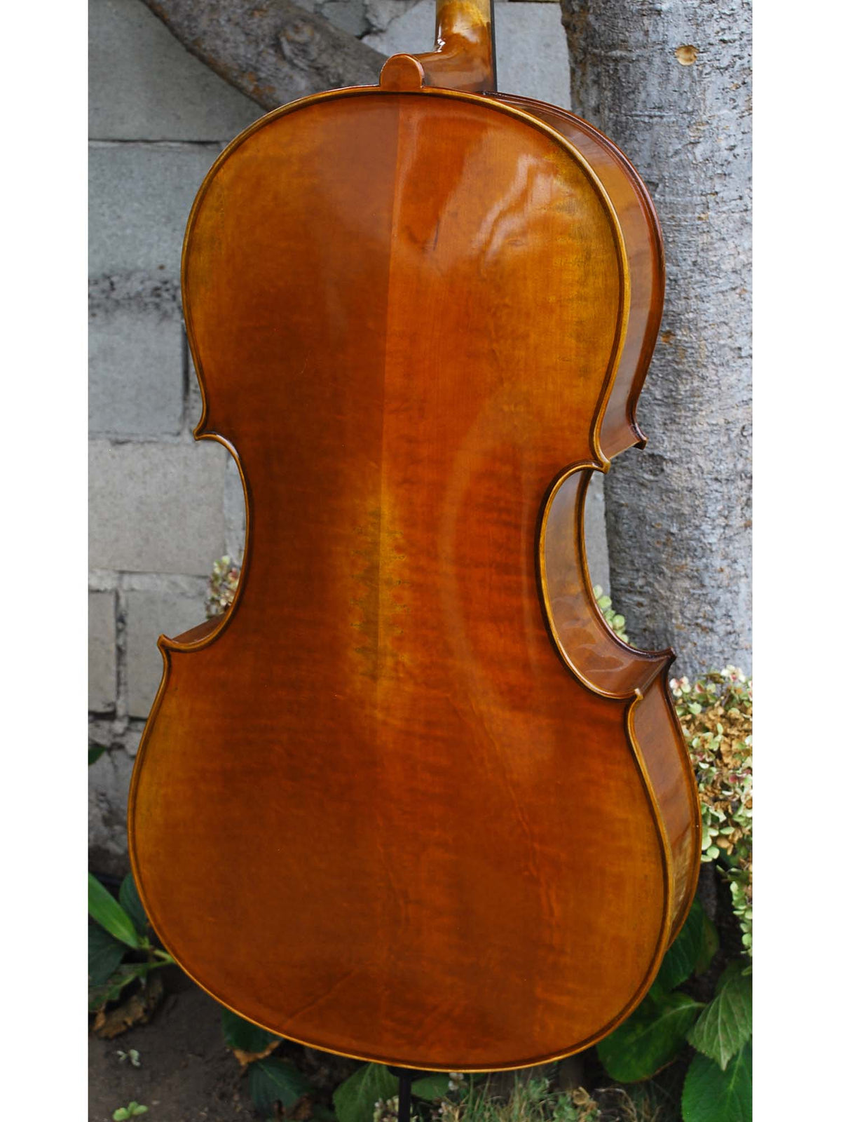 Wu Ling 100 7/8 Cello