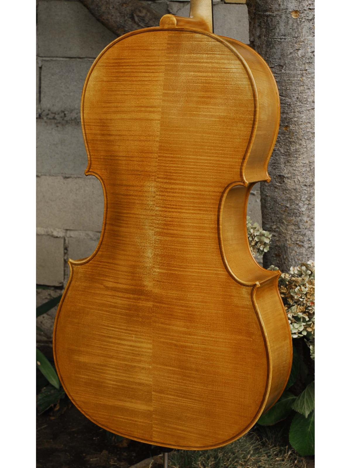 Emanuel Wilfer Master 'Stradivari' 4/4 Cello