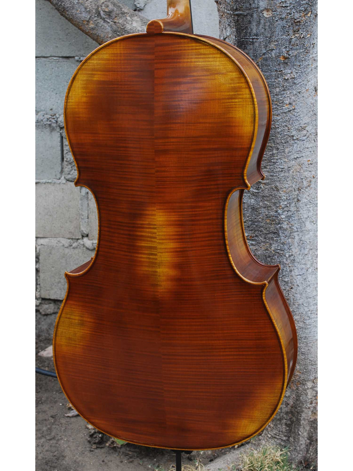 Antonio Fiorini 650 'Stradivari' - 7/8 Cello (0826)