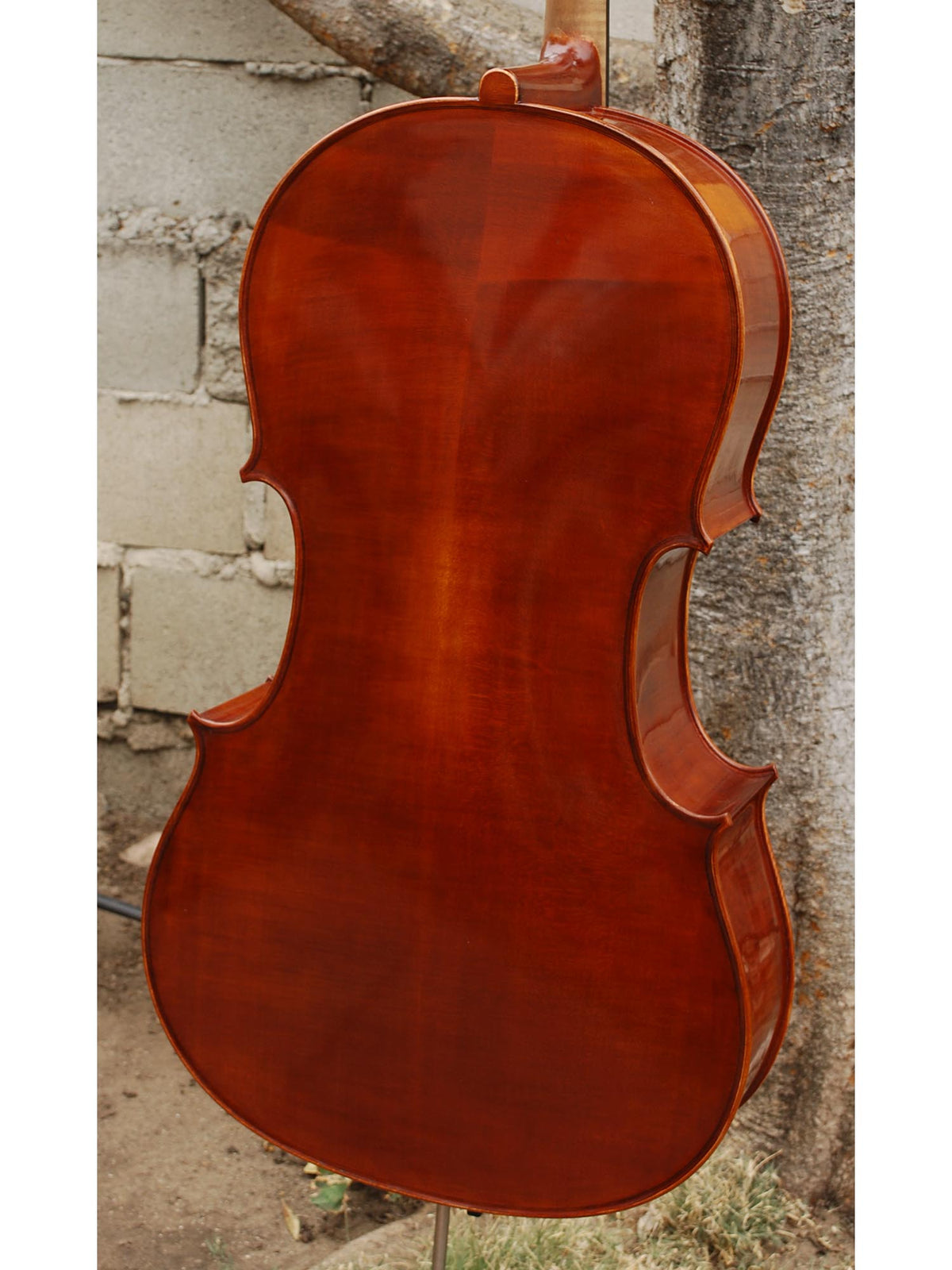 Viktor Resca #5 (Romania) - 7/8 Cello