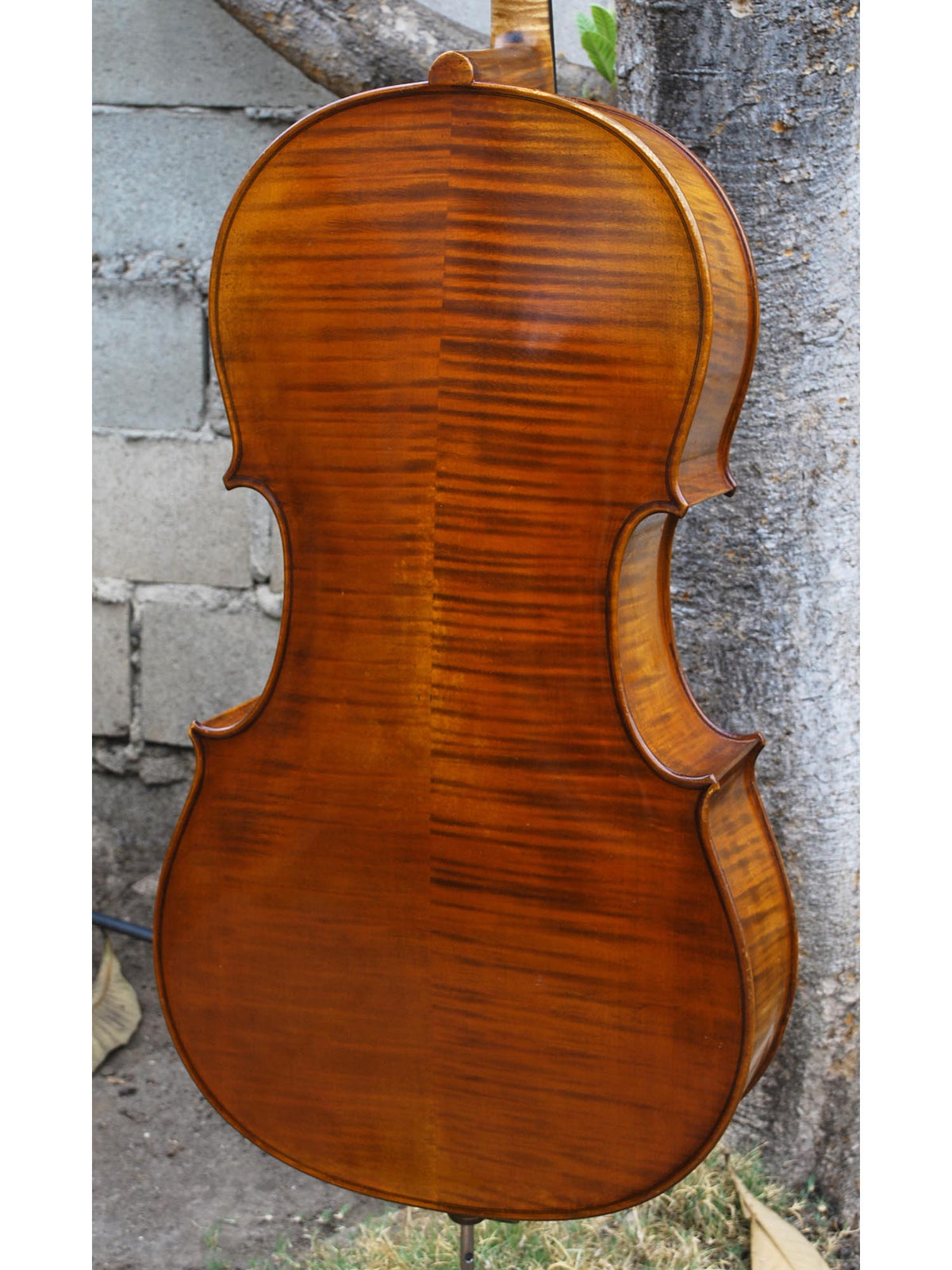 SIR 4/4 Cello 2000